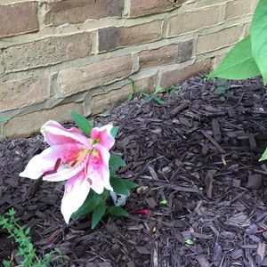 Meet your Posher, Kimmy